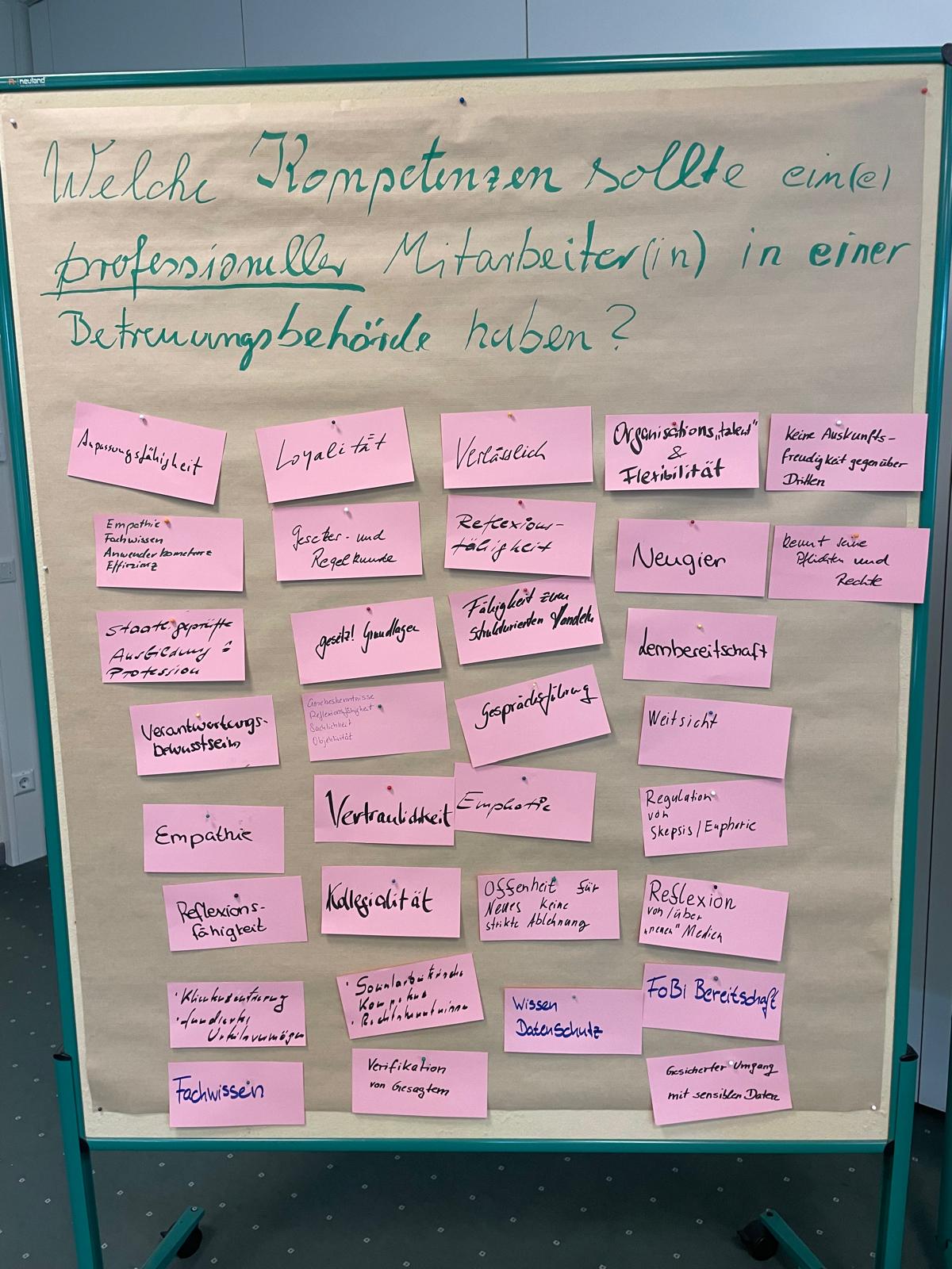 AG 4 Gewinnung, Beratung Berufs-Betreuer S.6